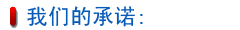 我們的承諾